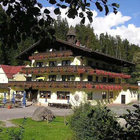 Gasthof Muehle - Natur- & Wanderhotel Rinchnach Buitenkant foto